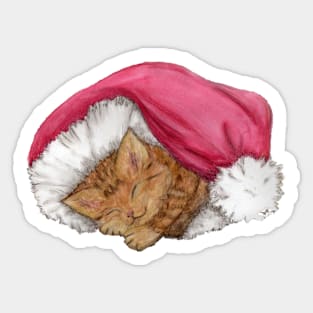 Kitten in Santa hat, with no background Sticker